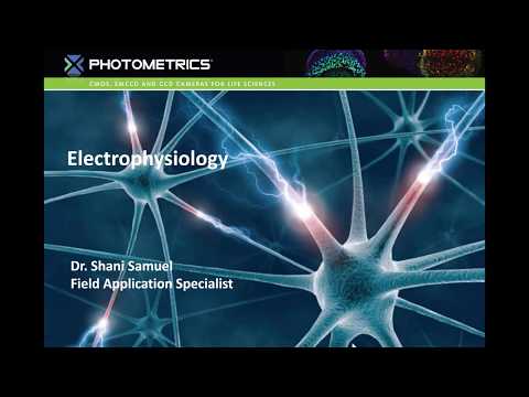 Introduction to Electrophysiology