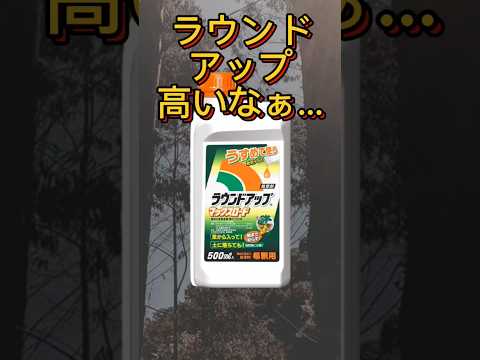 ラウンドアップに代わる除草剤はどれ？環境に優しく効果的な 10 のオプション  庭園