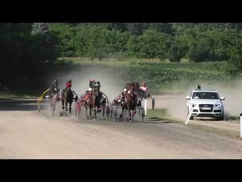 Trka "Sećanje na dr Milivoje Dedić " 09.06.2019 Jimmy-Oaks - Petar Knekt