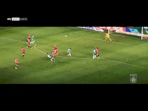 Die TORPARADE der 19. Runde in der Tipico Bundesliga