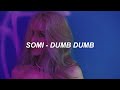 SOMI (전소미) - 'DUMB DUMB' Easy Lyrics