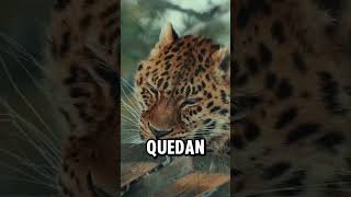 Animales que Desaparecerán en 2026 para Siempre 🐾😨