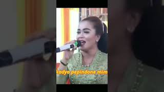 Download lagu Langgam DADI ATI || Campursari Puspa Laras || Candra Kirana || Full Lirik mp3