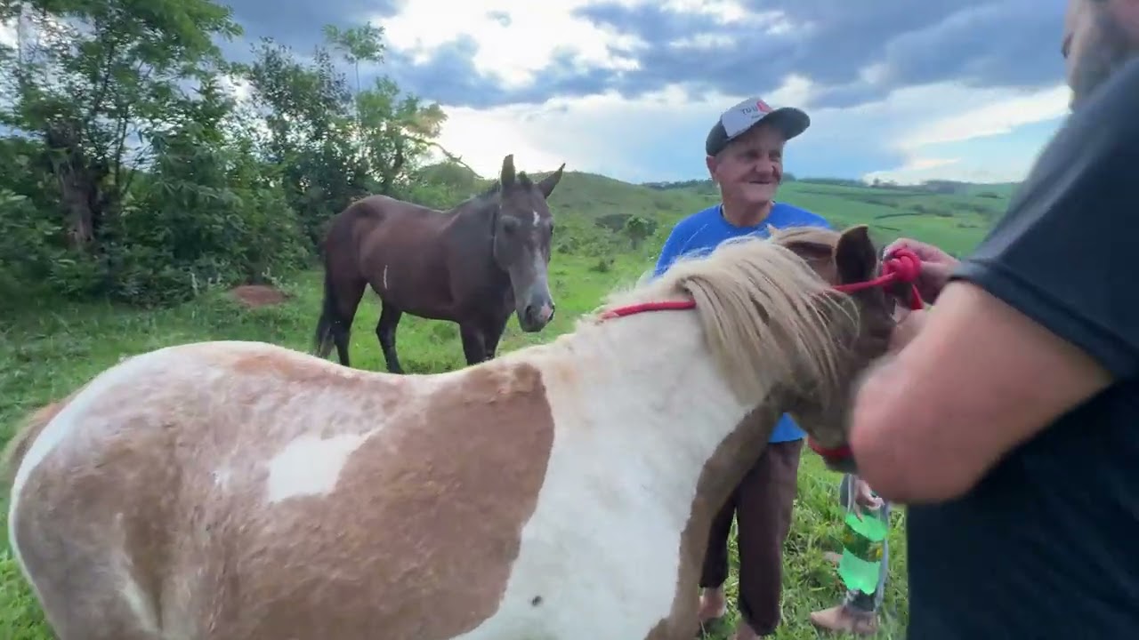 BUSCAMOS O PIRULITO NO PASTO!