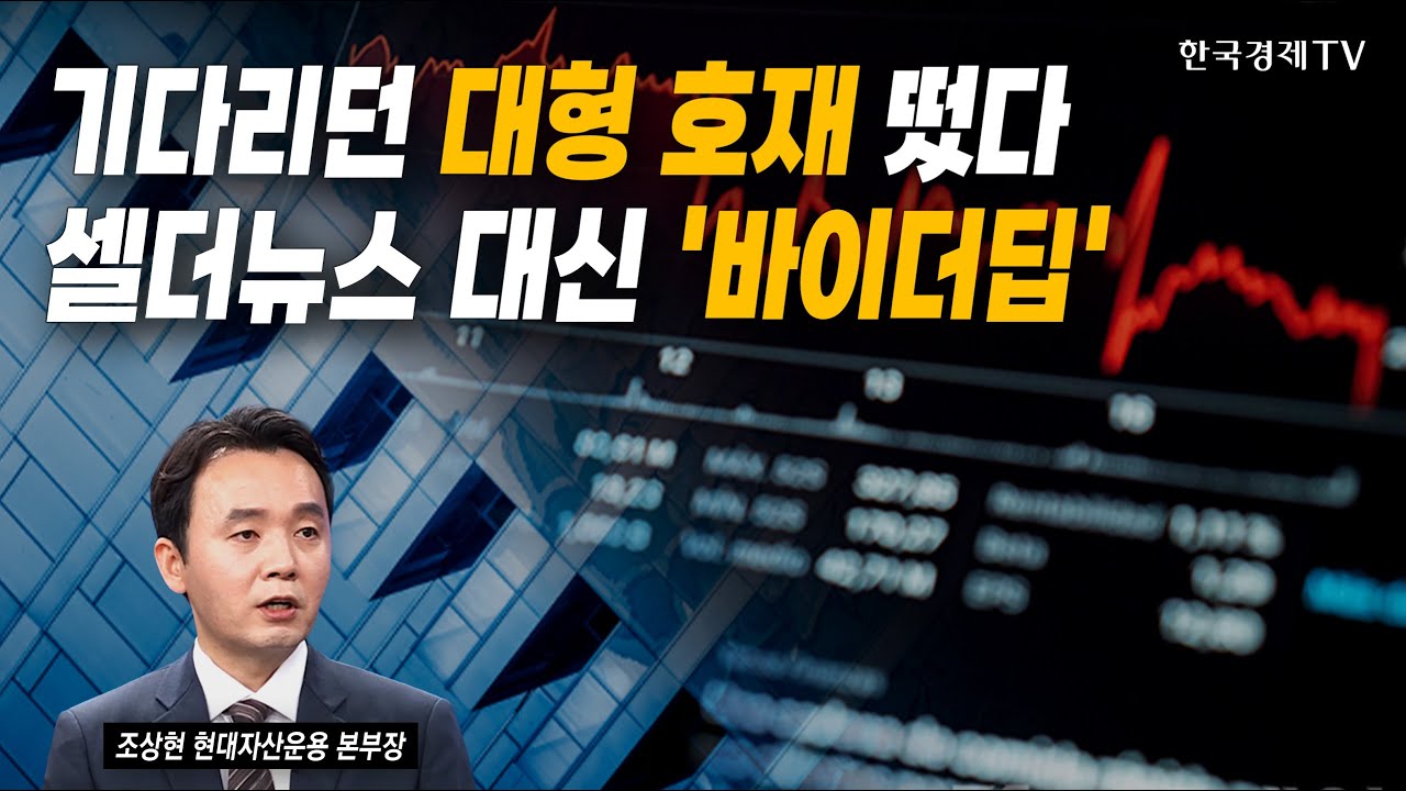 기다리던 대형 호재 떴다, 셀더뉴스 대신 '바이더딥' | 조상현 현대자산운용 본부장