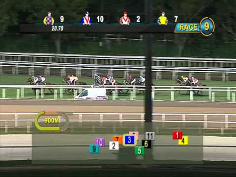 KrisFlyer International Sprint 2013 (Lucky Nine)