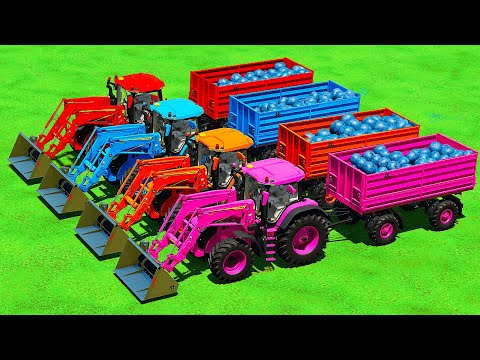TRANSPORTING BLUEBERRIES & RASPBERRIES WITH FIAT vs CLAAS vs FENDT TRACTORS - Farming Simulator 22
