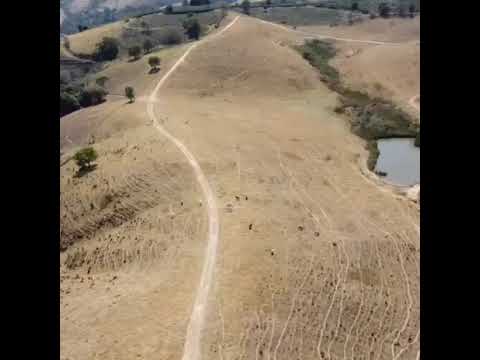 vende-se fazenda em Jacutinga Sul de Minas gerais #pecuarista #mercadoagricola