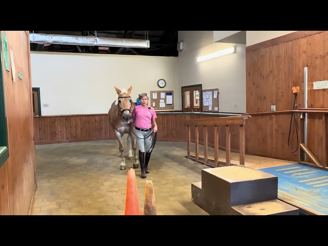 Mounting Area Procedures