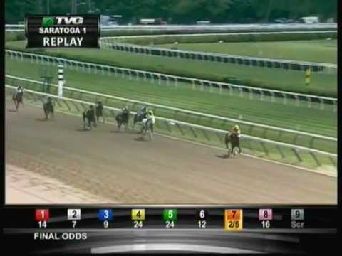 Dreaming Of Julia - 2012 Saratoga Maiden Race