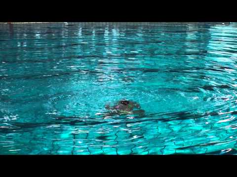 Duo Alevin CeliaTeresa