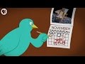 Where Do Birds Go In Winter