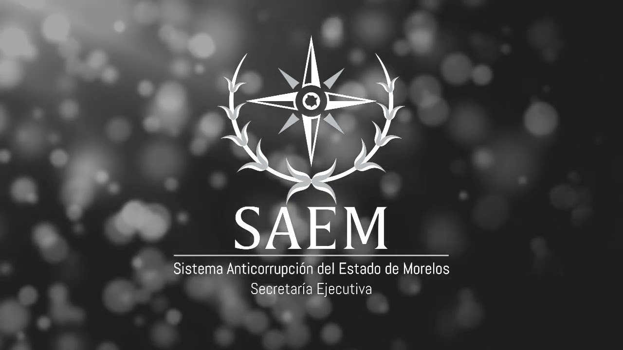Primera Sesión Extraordinaria 2024 del Órgano de Gobierno de la Secretaría Ejecutiva del SAEM