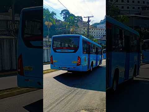 Caminhos dourados desfilando pelas ruas de Bom Jardim RJ