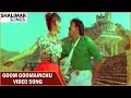 Kodama Simham Movie Goom Goomainchu Video Song Chiranjeevi Sonam Radha