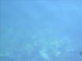 Moonbeam - Your Wind Is In My Hands 