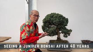 Download lagu Seeing a Juniper Bonsai after 40 years mp3