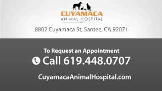 preview picture of video 'Cuyamaca Animal Hospital - Short | Santee, CA'