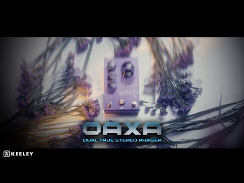 THE SOUND OF TWO PHASERS IS PRETTY INTOXICATING! | Keeley OAXA Dual Phaser