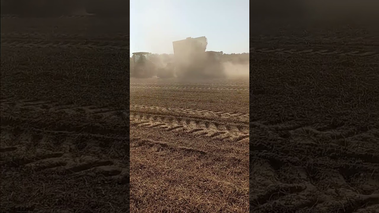 2024 peanut 🥜 harvest #Double S Farms #A poor Farmers Advice