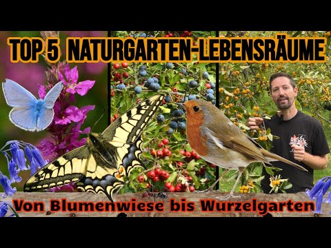 Top5 Die besten Naturgarten-Lebensräume von Blumenwiese, Teich, Hecke und Mauer bis Wurzelgarten!