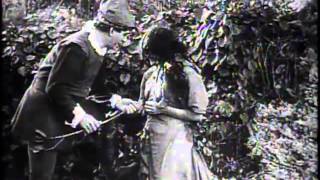 Neptune&#39;s Daughter (1914) featuring Annette Kellerman