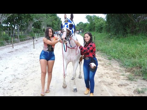 Torneio Amigo Anildo - CORRIDA DE CAVALOS