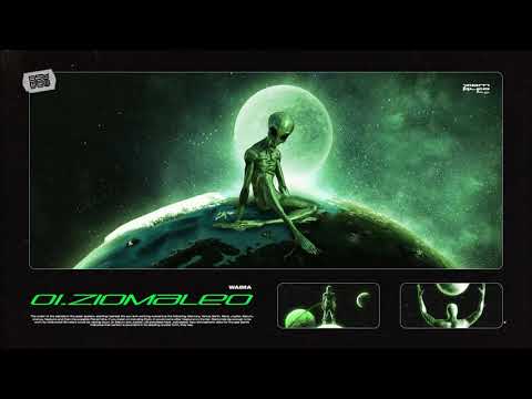 Video thumbnail for ZIOMALEO