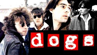 Les Dogs - The most forgotten french boy
