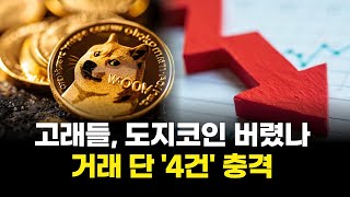 고래들, 도지코인 버렸나…거래 단 '4건' 충격