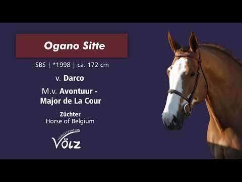 Ogano Sitte (Darco/Avontuur/Major de la Cour)