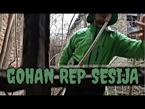 Gohan - Rep Sesija