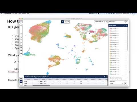 B4B: Module 7 - Single Cell - Data Visualization - Loupe Browser
