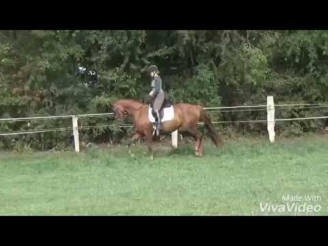 Fürst Nymphenburg  X Royal Blend