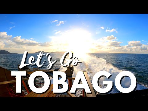 Let's Go Tobago 🇹🇹