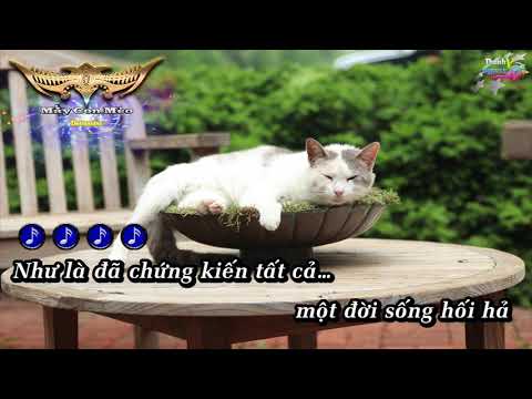 Mấy Con Mèo - Datmaniac Karaoke  Mấy Con Mèo - Datmaniac Karaoke