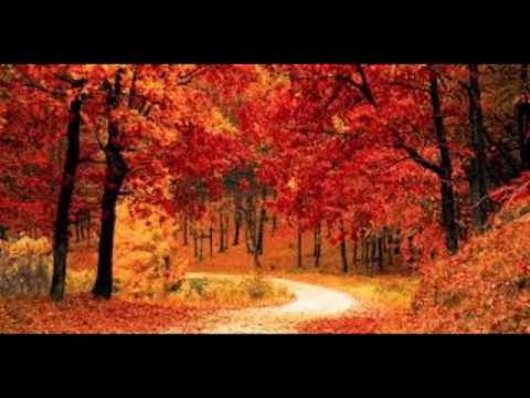 MIRA LLEGÓ EL OTOÑO