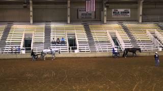 Marilyn and Linda, Memphis TN, 2013