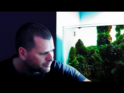 AQUARIUM MAINTENANCE ON CLIENT LOCATION WITH FULL REPLANTING - 4K CINEMATIC - GREEN AQUA