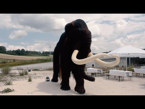Das große Mammut kommt wieder ins Lonetal
