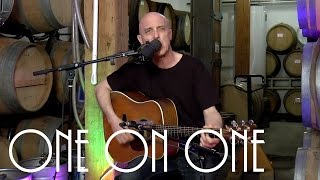 ONE ON ONE: Freedy Johnston February 24th, 2017 City Winery New York Full Session