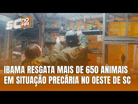 Mais de 650 animais são resgatados em propriedade no Oeste de SC