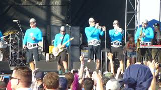 The Aquabats - Cat With 2 Heads! - BACK TO THE BEACH FEST