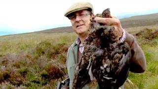 Fieldsports Britain – First grouse of 2011, 30lb salmon, 21 foxes