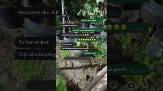 Download lagu #renungandiri #storywa #satuklikuntukwujudkanimpianmu #jalanyangjauhjanganlupapulang #guyon☺️☺️☺️🫰 mp3 Download lagu #renungandiri #storywa #satuklikuntukwujudkanimpianmu #jalanyangjauhjanganlupapulang #guyon☺️☺️☺️🫰 mp3