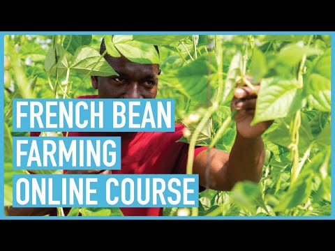 Profitable Pig Farming and Best Practices for success Course Outline