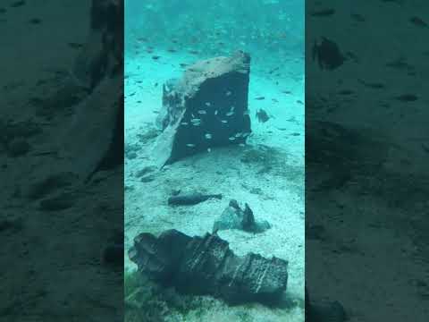 Bonito MS - Fazenda Pratinha