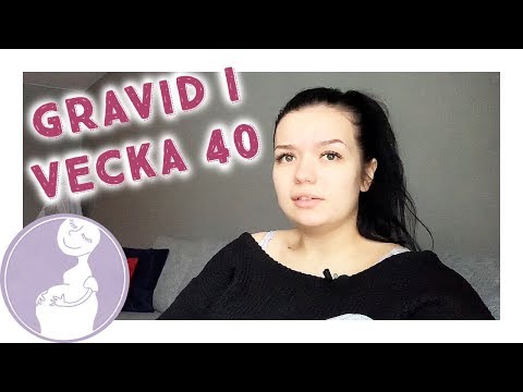 Värkarna har börjat! - Antonia & Amir vecka 40