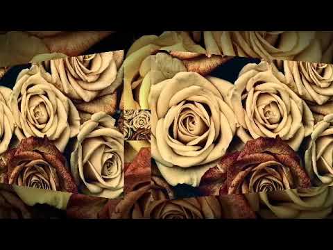 VOZ DE ROBÔ CANTA | Negretti x Malibbre -  2. martírio