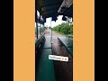 Vlog 30 08 62